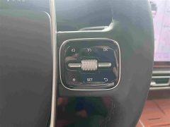 Li Auto L6 Pro - ფოტო 14