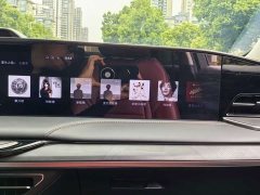 Lincoln Z i Cool Distinguished Edition - ფოტო 15