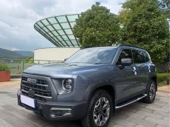 Great Wall Dachshund 2.0T DCT Four-wheel Drive Chinese Rural Dog Hunting Edition - ფოტო 1