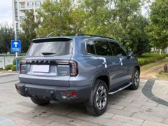 Great Wall Dachshund 2.0T DCT Four-wheel Drive Chinese Rural Dog Hunting Edition - ფოტო 13
