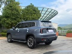 Great Wall Dachshund 2.0T DCT Four-wheel Drive Chinese Rural Dog Hunting Edition - ფოტო 15
