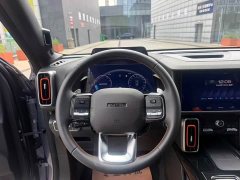 Great Wall Dachshund 2.0T DCT Four-wheel Drive Chinese Rural Dog Hunting Edition - ფოტო 7