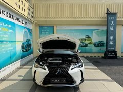 Lexus UX 2020 260h Explorer Fun Edition - ფოტო 8