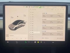 Tesla Model 3 2021 Standard Range RWD Upgrade 3D6 - ფოტო 14