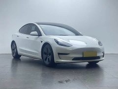 Tesla Model 3 2021 Standard Range RWD Upgrade 3D6 - ფოტო 20