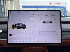 Nio Lerado L60 60kWh Rear-Wheel Drive - ფოტო 7