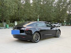Tesla Model 3 Standard Range RWD Upgrade 3D6 - ფოტო 17