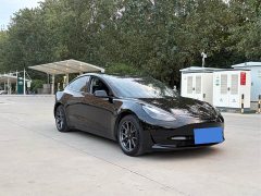 Tesla Model 3 Standard Range RWD Upgrade 3D6 - ფოტო 3