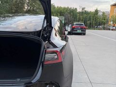 Tesla Model 3 Standard Range RWD Upgrade 3D6 - ფოტო 7