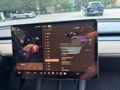 Tesla Model 3 Standard Range RWD Upgrade 3D6 - ფოტო 8