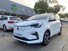 Changan Benben E-Star 2020 Heartbeat Edition LFP Battery (31.18kWh) - ფოტო 1