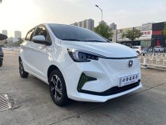 Changan Benben E-Star 2020 Heartbeat Edition LFP Battery (31.18kWh) - ფოტო 3