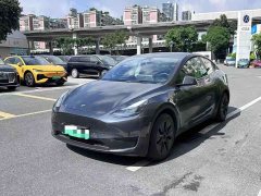 Tesla Model Y Rear-Wheel Drive - ფოტო 1