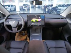 Tesla Model Y Long Range All-Wheel Drive - ფოტო 10