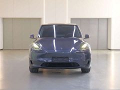 Tesla Model Y Long Range All-Wheel Drive - ფოტო 2