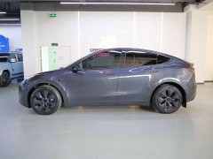 Tesla Model Y Long Range All-Wheel Drive - ფოტო 3
