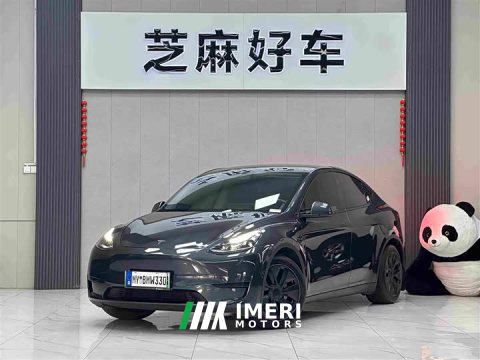 2024 Tesla Model Y Rear-Wheel Drive - ავტომობილი ჩინეთიდან