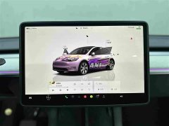 Tesla Model Y Rear-Wheel Drive - ფოტო 12