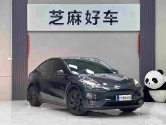 Tesla Model Y Rear-Wheel Drive - ფოტო 3