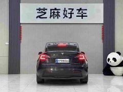 Tesla Model Y Rear-Wheel Drive - ფოტო 5