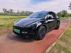 Tesla Model Y Long Range All-Wheel Drive - ფოტო 1