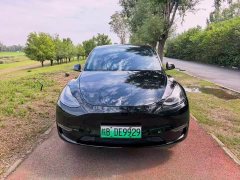 Tesla Model Y Long Range All-Wheel Drive - ფოტო 2