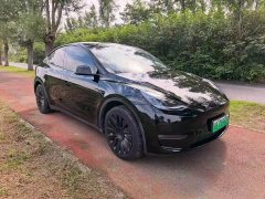 Tesla Model Y Long Range All-Wheel Drive - ფოტო 3