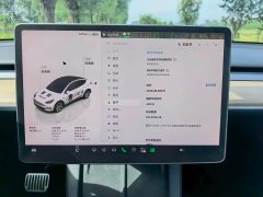 Tesla Model Y Long Range All-Wheel Drive - ფოტო 7