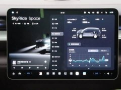 NIO ES9 102kWh Executive Island Signature Edition - ფოტო 16