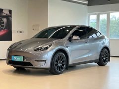 Tesla Model Y Long Range All-Wheel Drive - ფოტო 1