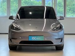 Tesla Model Y Long Range All-Wheel Drive - ფოტო 2