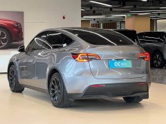 Tesla Model Y Long Range All-Wheel Drive - ფოტო 5