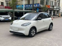 Wuling Binguo 203km Light Enjoy Edition - ფოტო 1