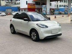 Wuling Binguo 203km Light Enjoy Edition - ფოტო 3