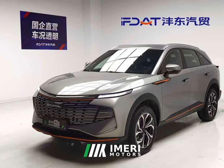 Haval Divine Beast 2023 1.5T Smart Enjoy Edition - ავტომობილი ჩინეთიდან