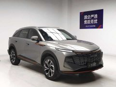 Haval Divine Beast 2023 1.5T Smart Enjoy Edition - ფოტო 3