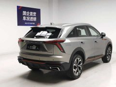 Haval Divine Beast 2023 1.5T Smart Enjoy Edition - ფოტო 4