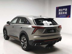 Haval Divine Beast 2023 1.5T Smart Enjoy Edition - ფოტო 6