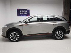 Haval Divine Beast 2023 1.5T Smart Enjoy Edition - ფოტო 9