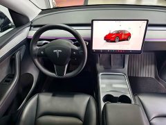 Tesla Model Y Rear-Wheel Drive - ფოტო 14