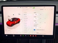 Tesla Model Y Rear-Wheel Drive - ფოტო 19