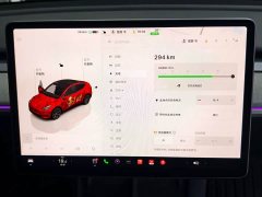 Tesla Model Y Rear-Wheel Drive - ფოტო 20
