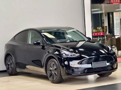 Tesla Model Y Rear-Wheel Drive - ფოტო 3