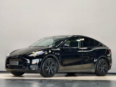 Tesla Model Y Rear-Wheel Drive - ფოტო 5