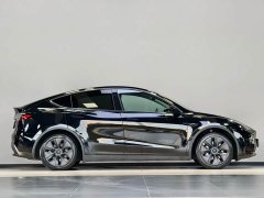 Tesla Model Y Rear-Wheel Drive - ფოტო 8