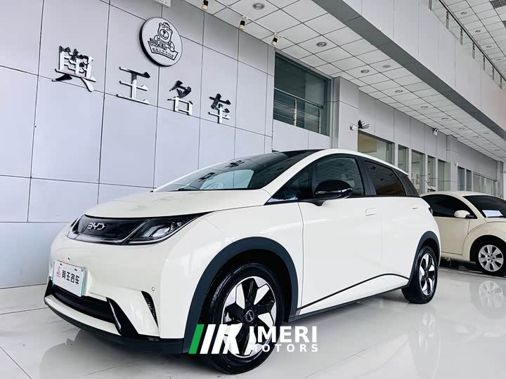 BYD Dolphin Glory Edition 420km Fashion Version - ავტომობილი ჩინეთიდან