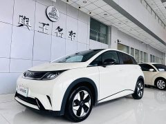 BYD Dolphin Glory Edition 420km Fashion Version - ფოტო 1