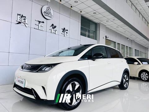 2024 BYD Dolphin Glory Edition 420km Fashion Version - ავტომობილი ჩინეთიდან