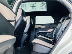 BYD Dolphin Glory Edition 420km Fashion Version - ფოტო 13