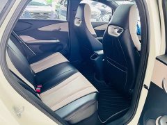 BYD Dolphin Glory Edition 420km Fashion Version - ფოტო 14